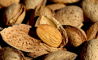 La récolte de nos amandes de Provence, un projet porteur de sens