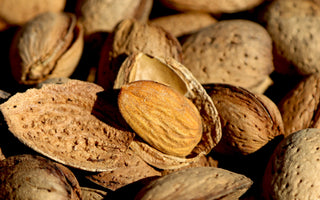 La récolte de nos amandes de Provence, un projet porteur de sens