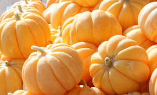 Le Melon Cantaloup, un incontournable de nos Fruits Confits