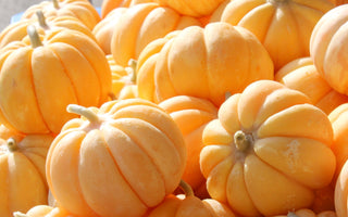 Le Melon Cantaloup, un incontournable de nos Fruits Confits