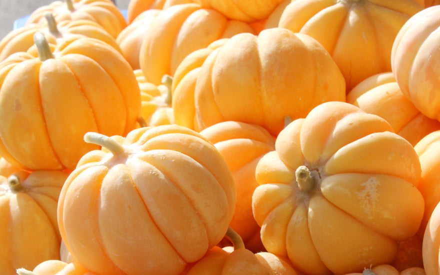 Le Melon Cantaloup, un incontournable de nos Fruits Confits