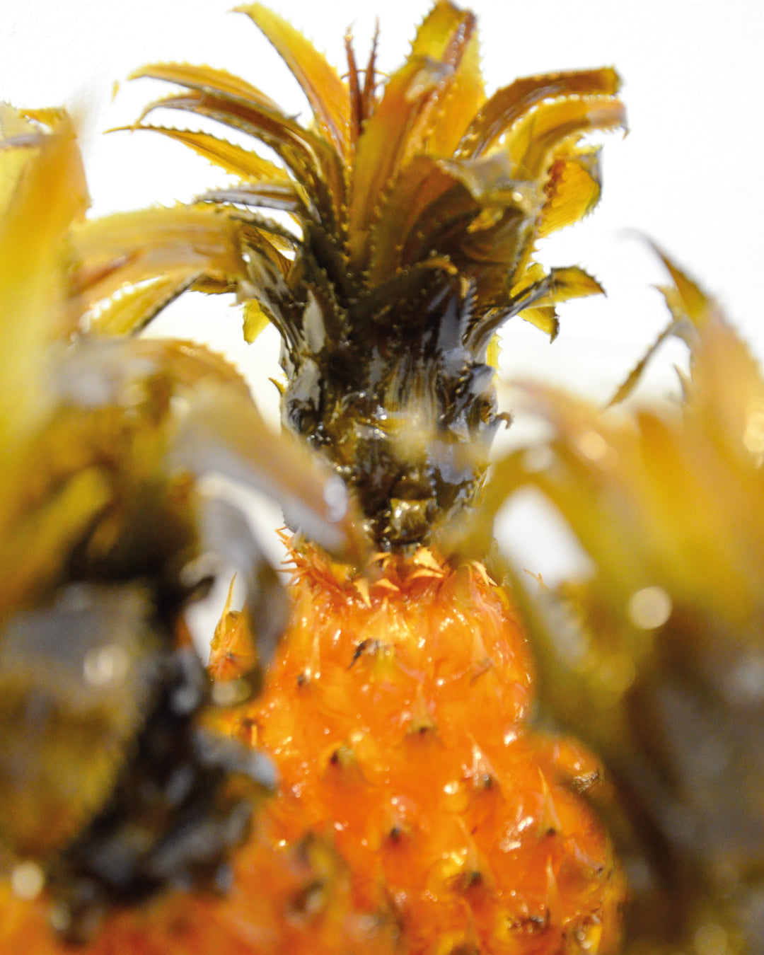 Ananas Entier Confit "à coeur"
