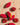 Boîte 'Fé' fruités assortis