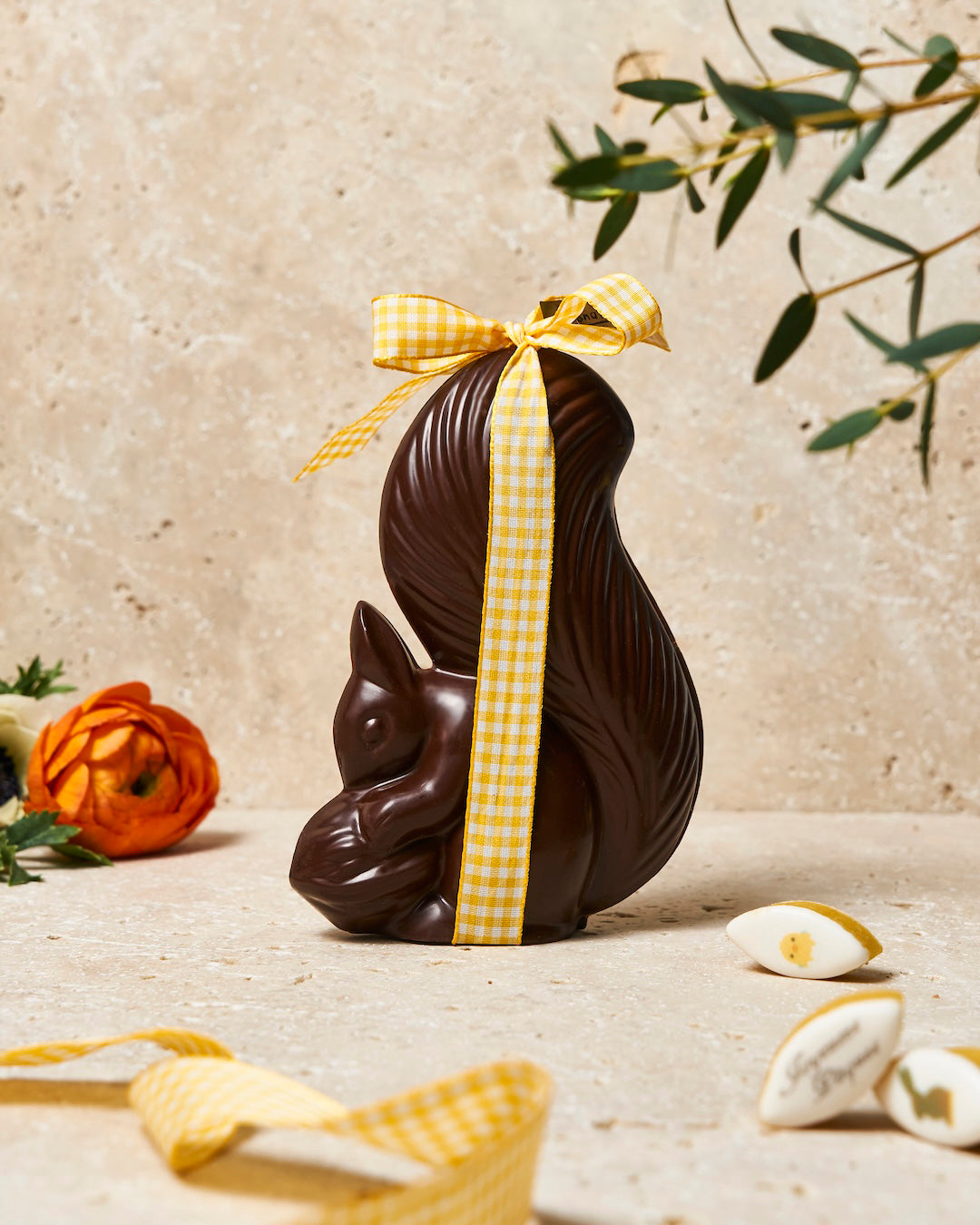 L'Écureuil en Chocolat